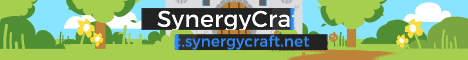 SynergyCraft